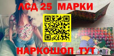 стаф Владимир