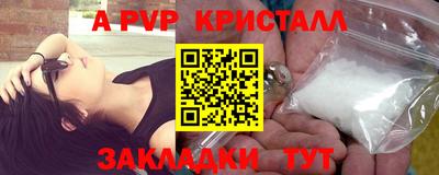 стаф Владимир