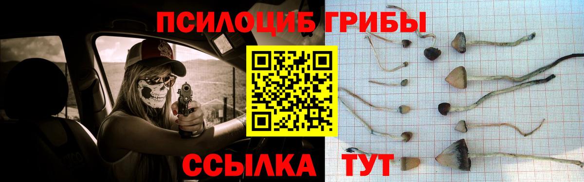 Псилоцибиновые грибы Psilocybe  Вход с VPN  Иваново  Галлюциногенные грибы мицелий 